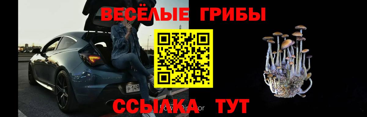 Галлюциногенные грибы Cubensis  Вход с VPN  хочу   Галлюциногенные грибы мухоморы  Волгодонск 